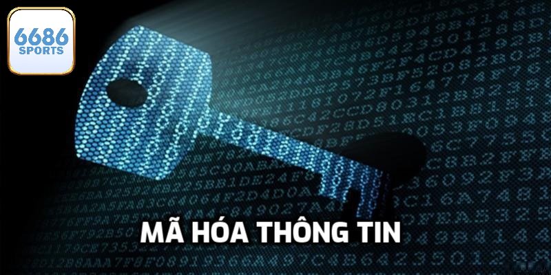 Hệ thống mã hóa dữ liệu vô cùng tiên tiến